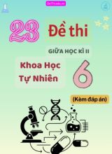 Tổng hợp 23 Đề thi Tự luận KHTN 6 giữa Kì 2 (Kèm đáp án)